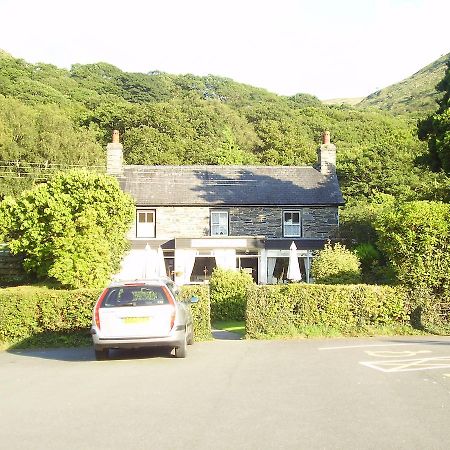 Bryn-crug The Dolgoch Bed & Breakfast エクステリア 写真