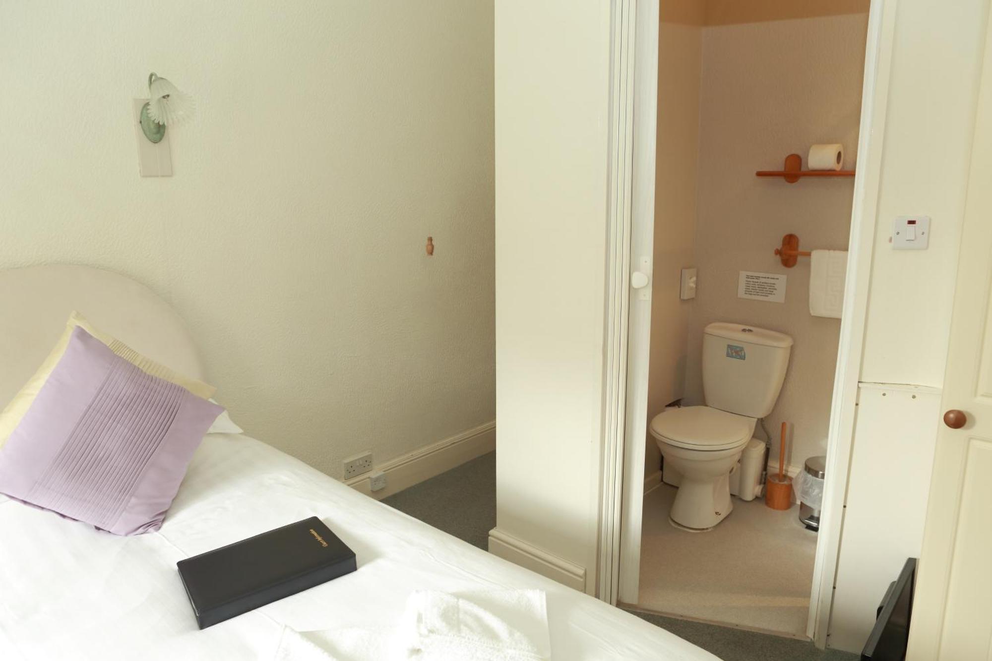 Bryn-crug The Dolgoch Bed & Breakfast 部屋 写真