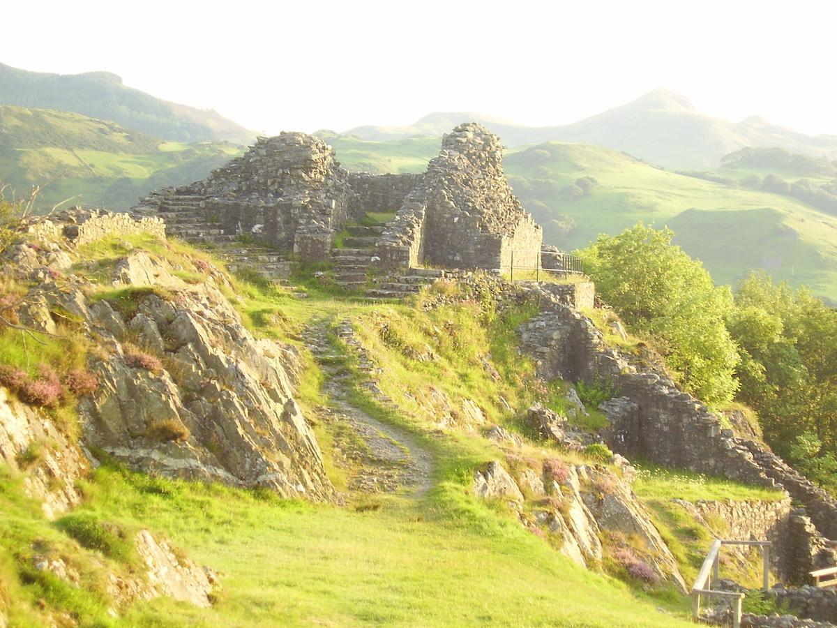 Bryn-crug The Dolgoch Bed & Breakfast エクステリア 写真
