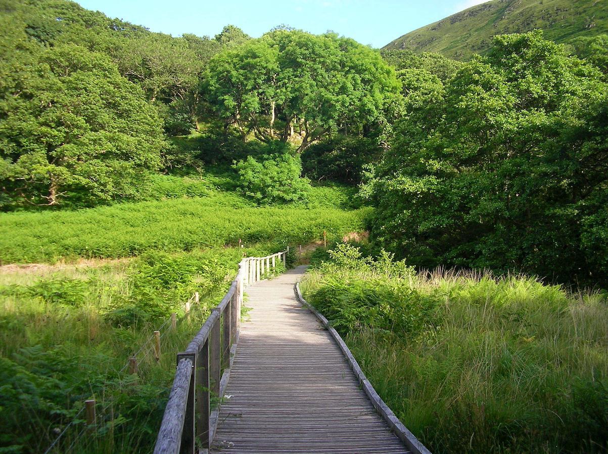 Bryn-crug The Dolgoch Bed & Breakfast エクステリア 写真